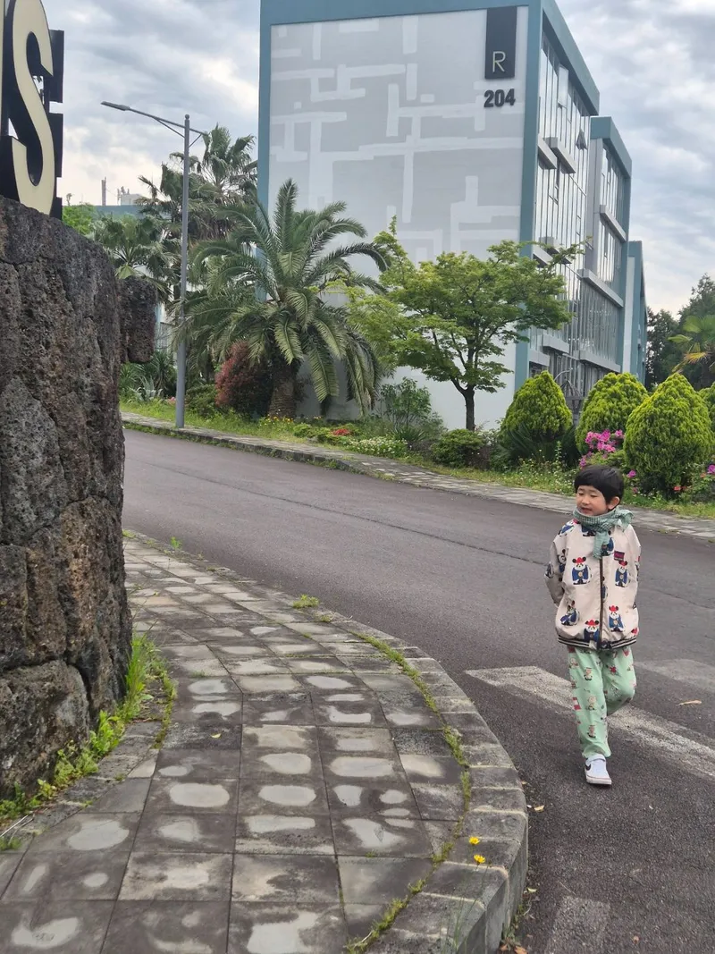 [Topyeong-dong, Seogwipo] (7 days or more) STAY Forest of Silence #1st floor terrace #Forest #Cedar stone wall forest [Seogwipo] 64