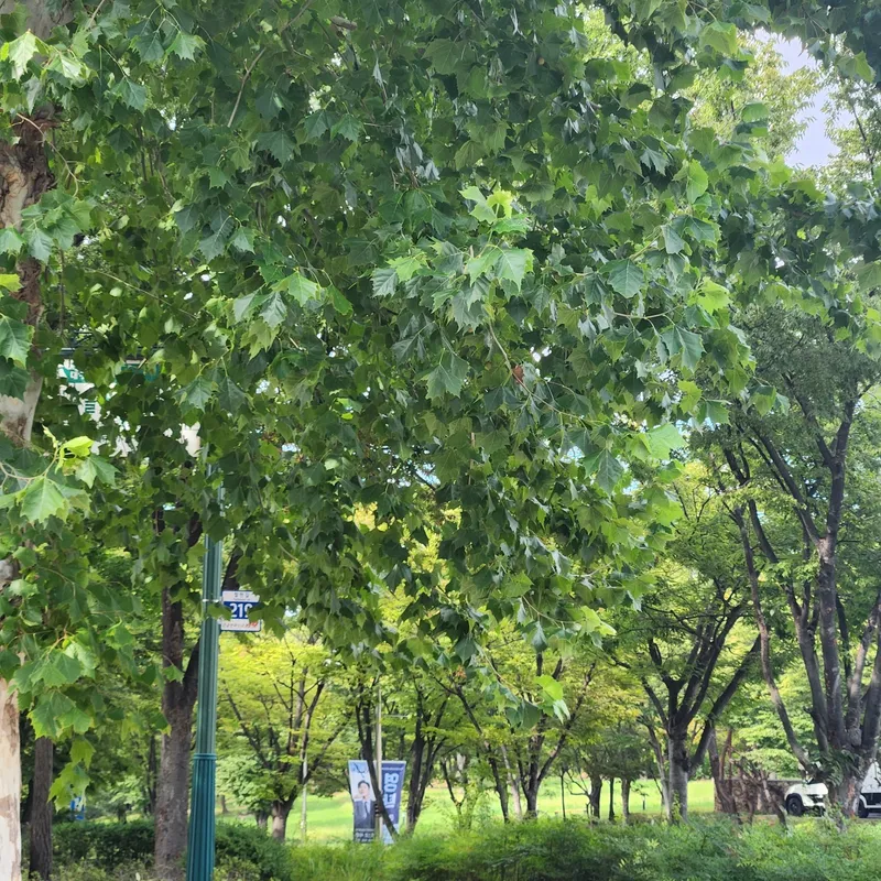 [대구 수성] 풀옵션 가족들이랑 12