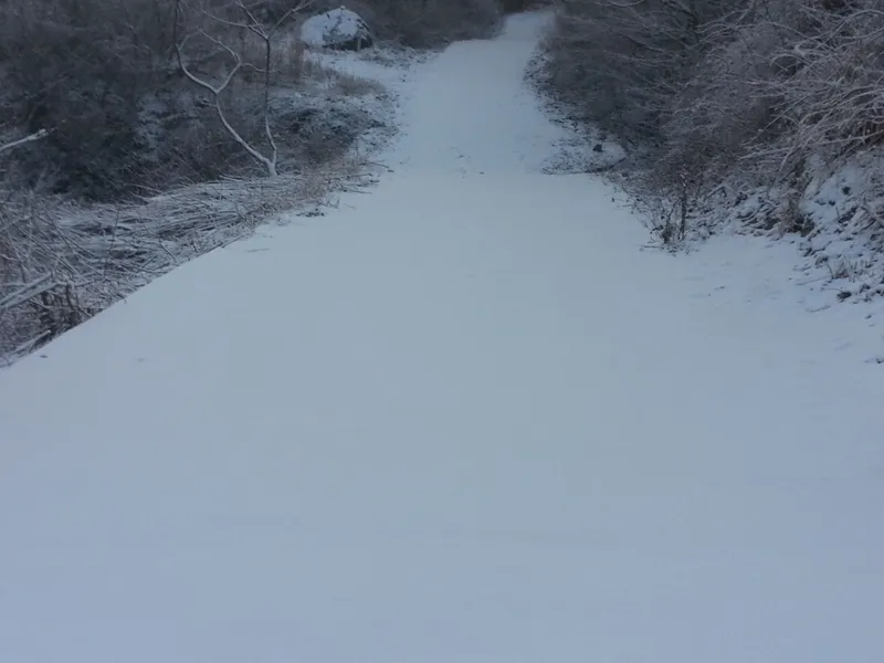 [전남 구례] 섬진강변 청정산골 황토구들방 반려동물가능 18