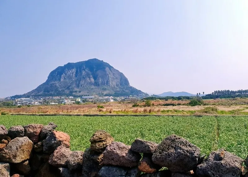 [Andeok, Seogwipo] Haemuri-dong, a two-story accommodation with a seasonal view of Sanbangsan Mountain 37