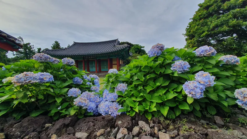 [Seongsan, Seogwipo] Sunrise Peak Penthouse Ocean View Two-Room Duplex Residence 55