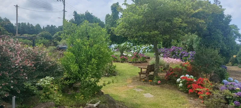 [Andeok, Seogwipo] A pension with a beautiful garden 17