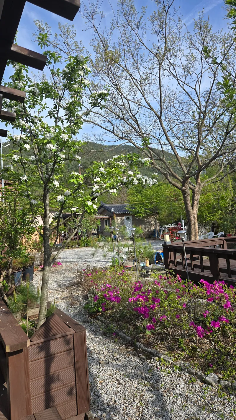 [강원 강릉] 오대산계곡펜션# 소금강계곡펜션# 연곡펜션# 주문진계곡펜션 8