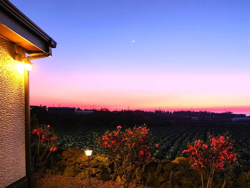 [Hallim, Jeju][Jeju Aewol] A quiet three-room country single-story house with a yard and a beautiful sunset 46