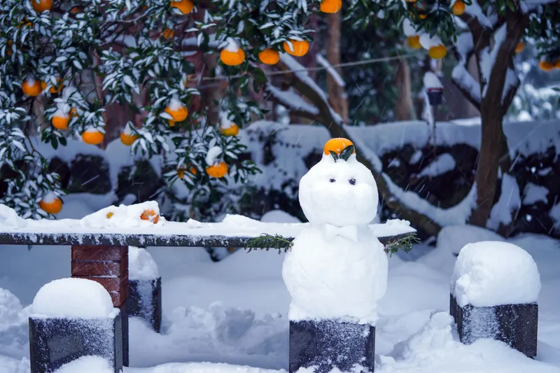 [Seongsan, Seogwipo][Kkotdam-dong] Like sunlight whispering on a stone wall, a clean and comfortable detached house 17
