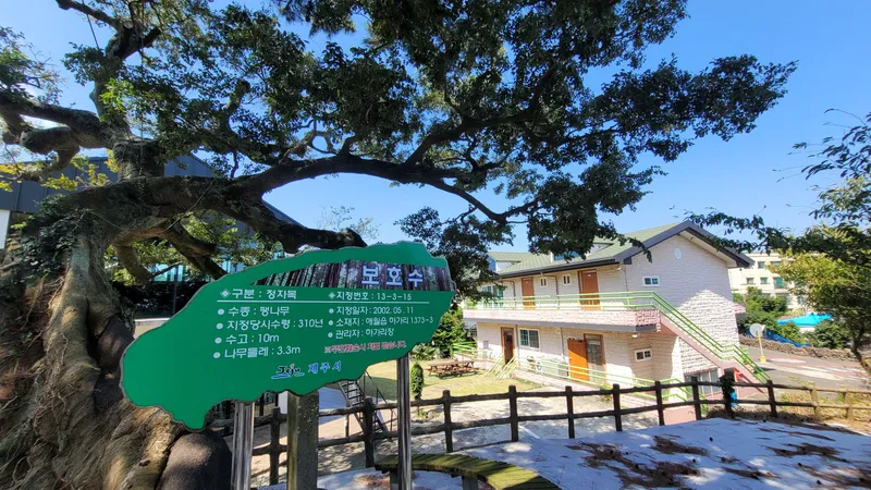 [Aewol, Jeju] 40-pyeong duplex, 3 bedrooms, 2 bathrooms, lawn yard, BBQ, convenience store 10 seconds away 44