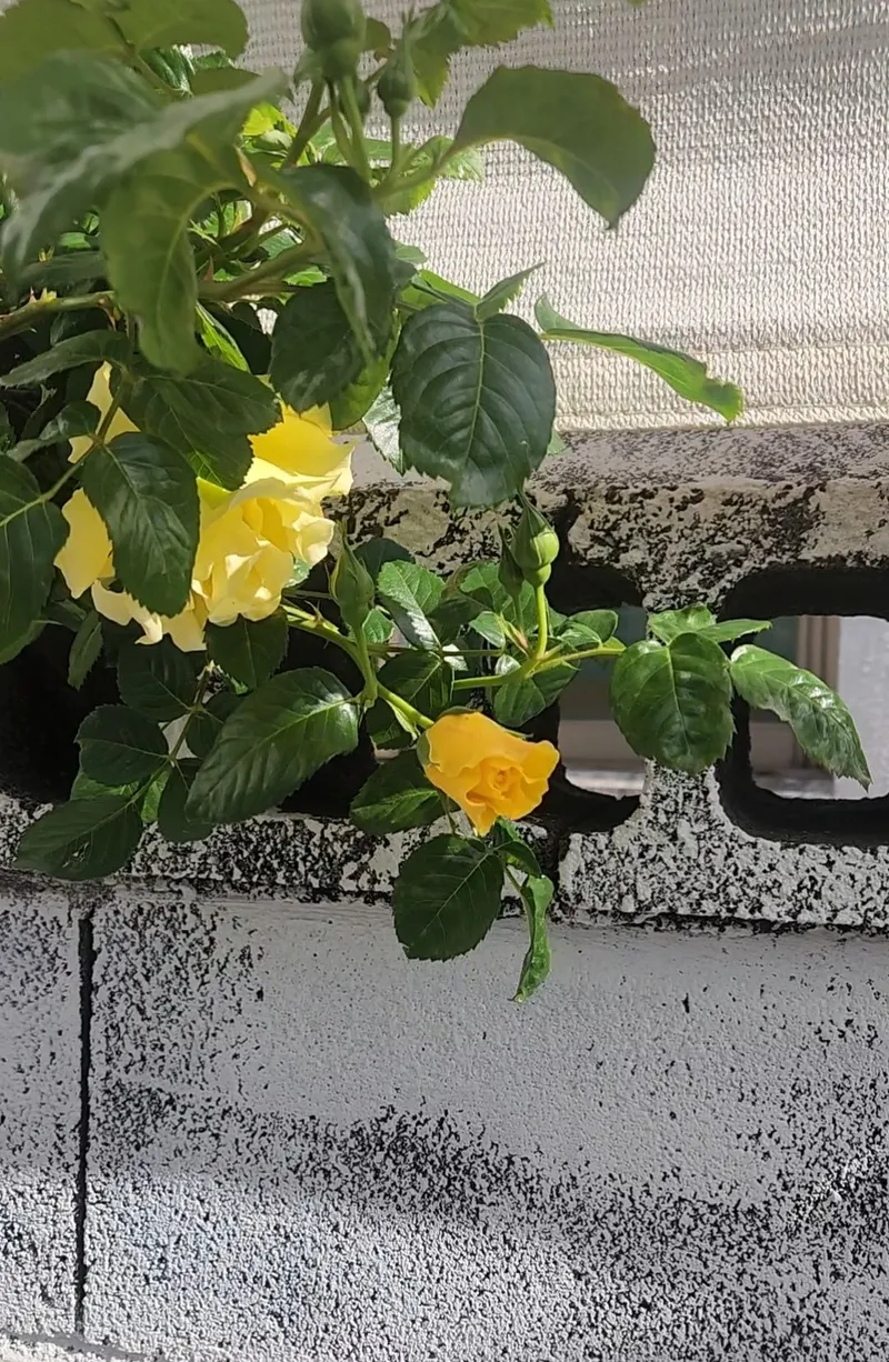 [제주 한경] 서쪽스테이 조용한 제주, 감성을 담은 하루 55