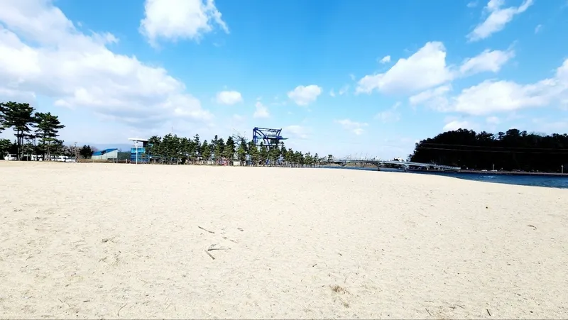 [강원 강릉] 한달살기 반려견OK 해변 바로 앞 침대2개 17