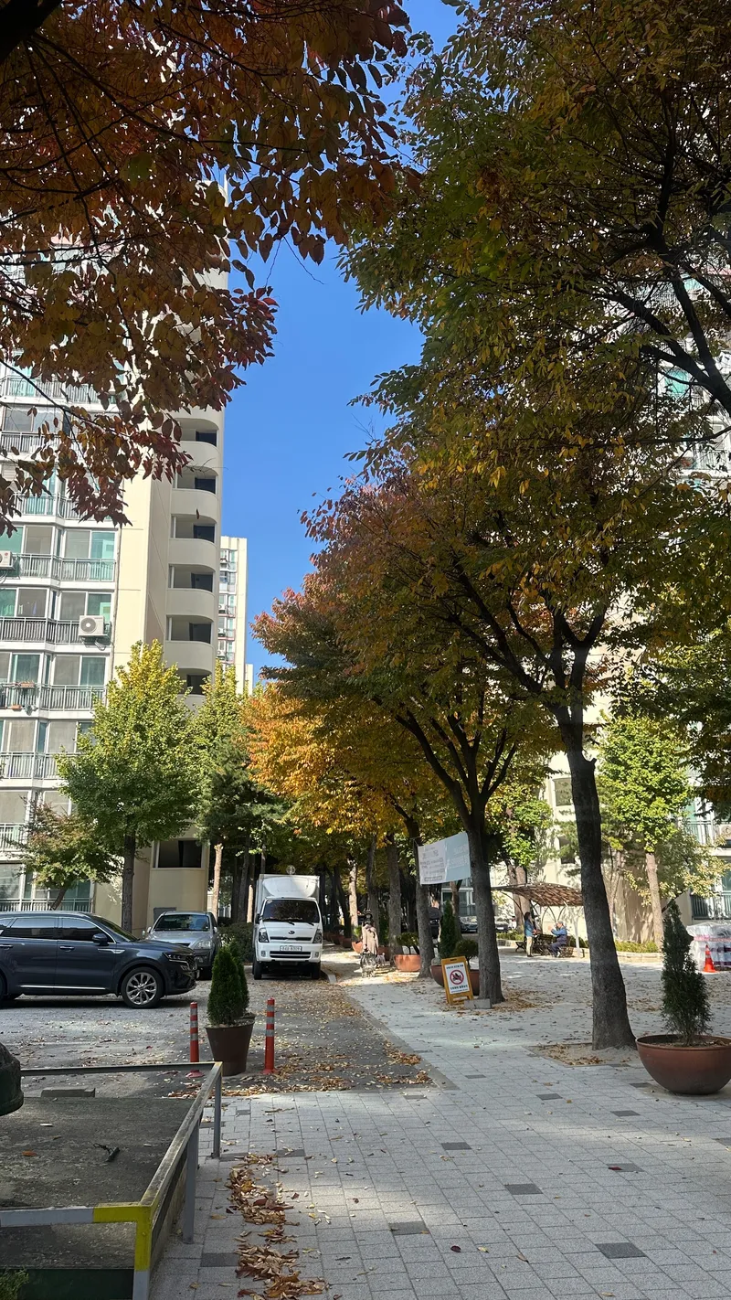 [서울 노원][노원마들]도보 2분 리모델링 완료 풀옵션 역세권아파트 11