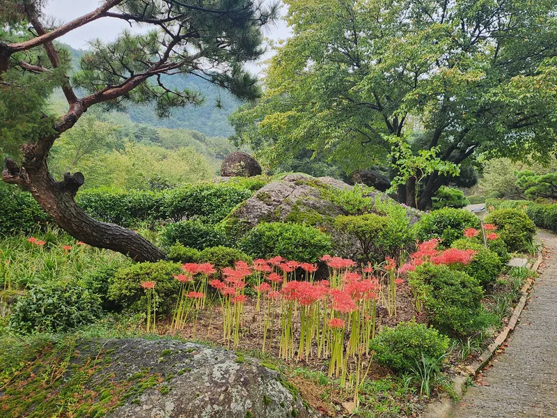 [경남 하동] 정원이 아름다운 소나무방 15