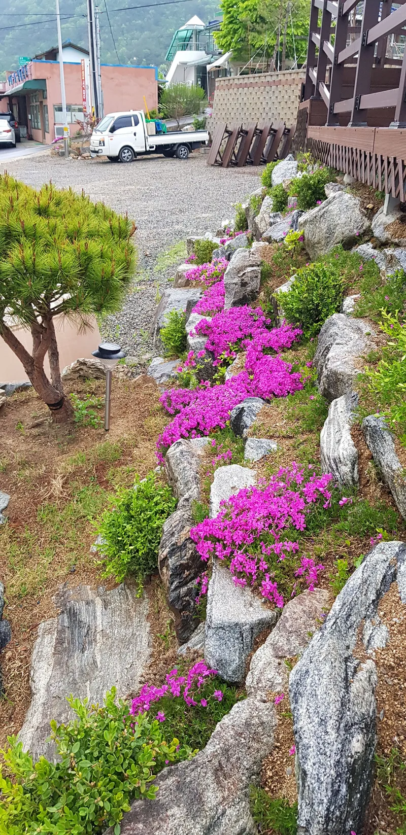 [Goesan] The best Misun tree for rest and recuperation in the clean area of Sokrisan Yanggyegok Valley 18