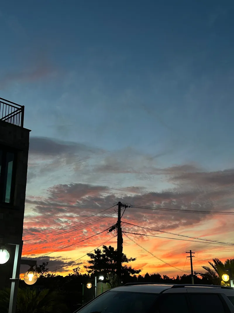 [Namwon, Seogwipo] Seogwipo Namwon Pyeoseon Sea 10 minutes Dog-friendly independent pool villa 24