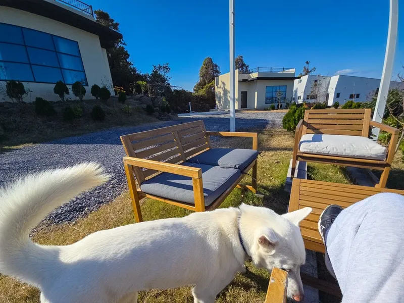 [Hallim, Jeju] Private villa with ocean view #101 48