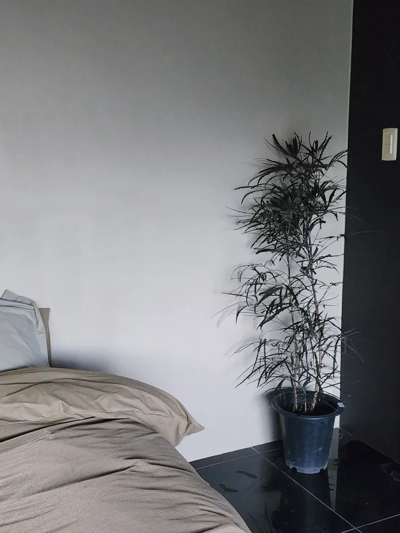 [Gujwa, Jeju] Jeju Rakhado / A House Loved by Artists 4