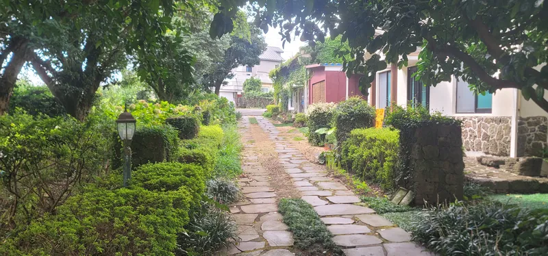 [Namwon, Seogwipo] #Wide lawn #Healing Sparrow 36