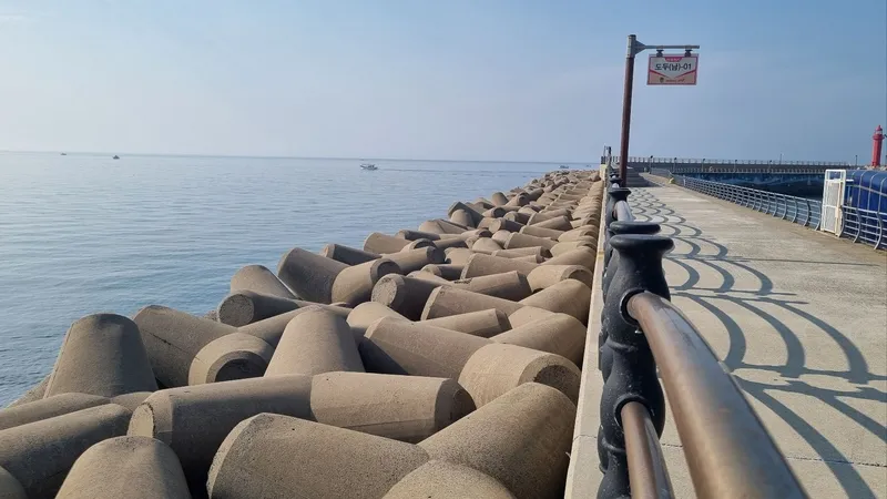 [Dodu 1-dong, Jeju] Sea view restaurant full option (9th floor) 16