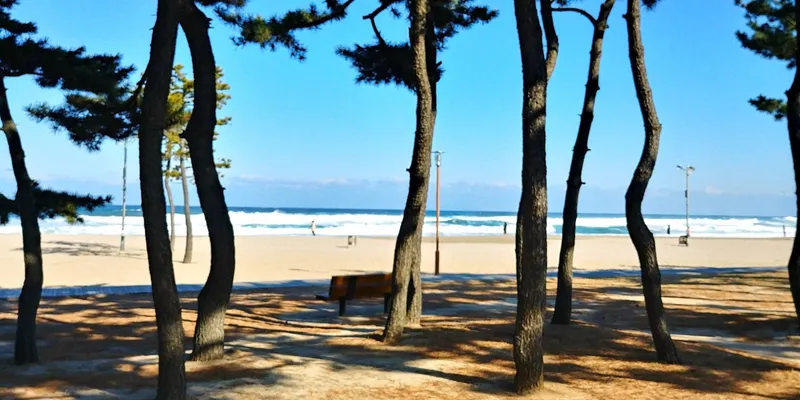[Yangyang][Gangwon Sokcho Yangyang] Naksan Beach - & Namdaecheon Riverside Walk - Quiet Accommodation #Garden - & Balcony Barbecue 19