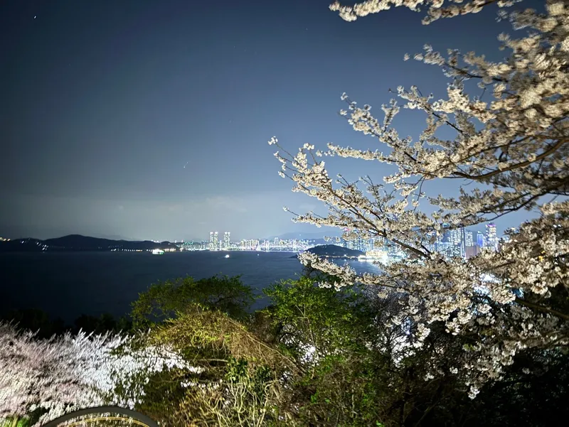 [부산 해운대] 달맞이길 오션뷰가 보이는 대형 평수 35