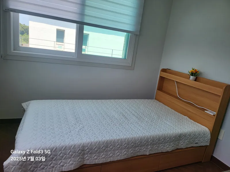 [제주 조천] 단독복층 30평/수영장·월풀/잔디마당/반려견 8