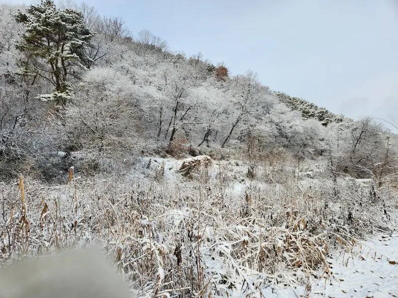 [경기 파주] 105호 Netflix+Youtube시청[침대전기매트사용] 20