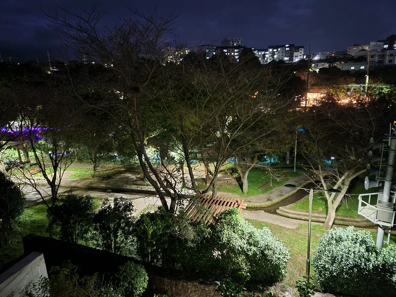 [Seohong-dong, Seogwipo] Healing House in the Park 53