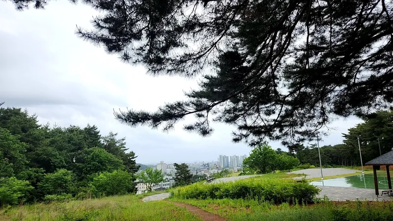 [강원 동해] 호텔보다 쾌적한# 초고층 신축# 도서관 옆 조용한 힐링숙소 39