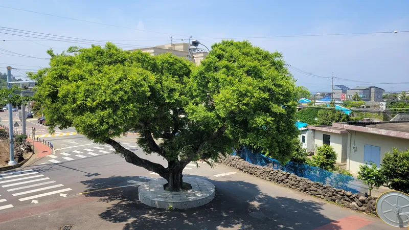 [Aewol, Jeju] 40-pyeong duplex, 3 bedrooms, 2 bathrooms, lawn yard, BBQ, convenience store 10 seconds away 45