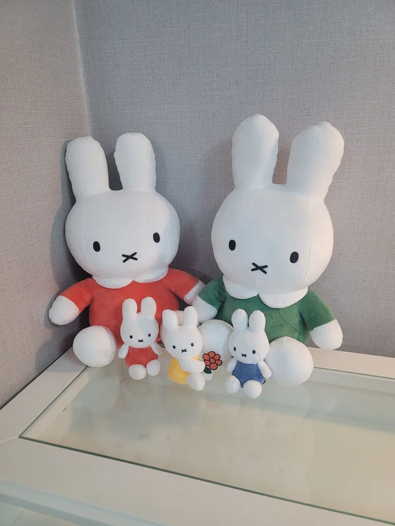 [Goyang] A spacious 5th floor house with a great view of Juyeop Station and Daehwa Station (17 pyeong exclusive use area) 26