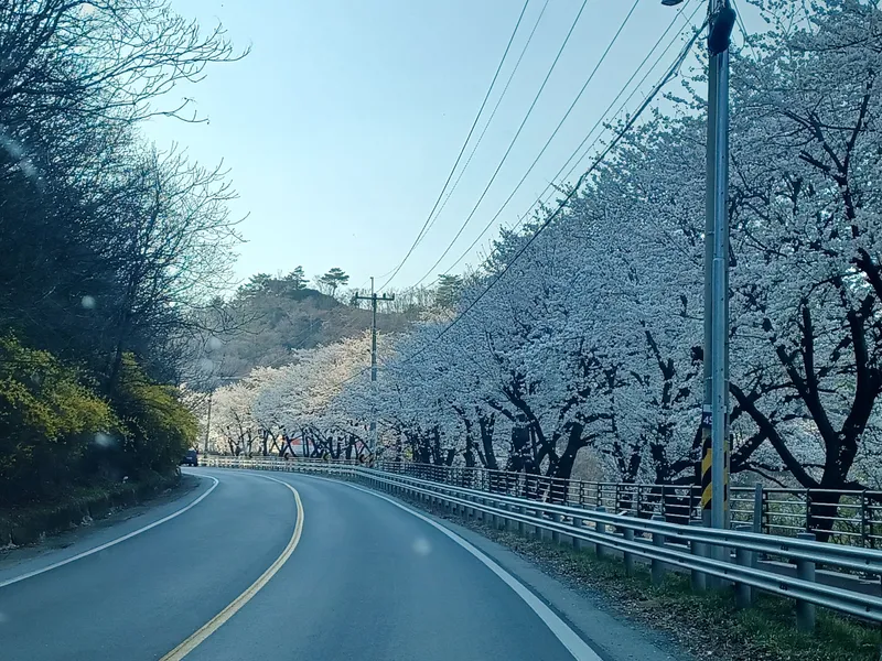[충북 단양] 남한강과 금수산 뷰가 있는 갤러리 같은 투룸 주택 30