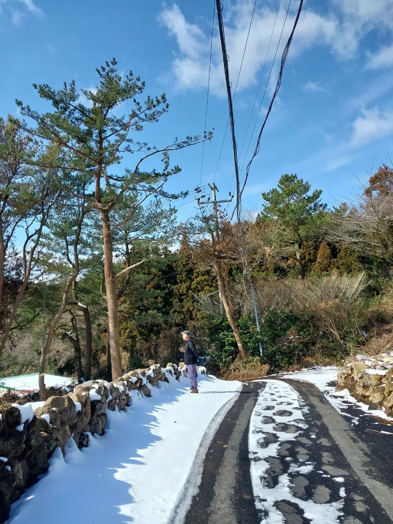 [서귀포 호근동] 서귀포 바다와 한라산이 공존하는 독채 64