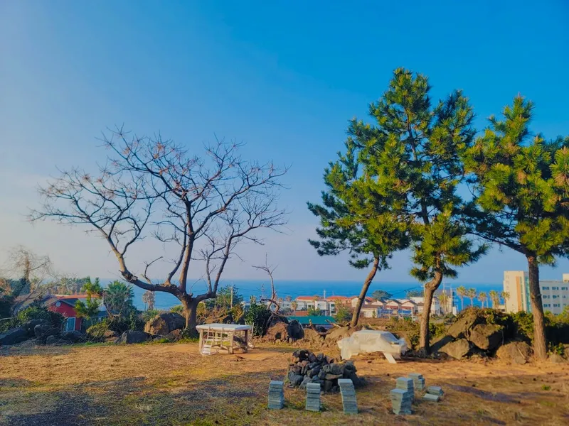 [제주 애월] 가성비 오션뷰 독채 #바베큐 #넓은앞마당 #캠프파이어 23