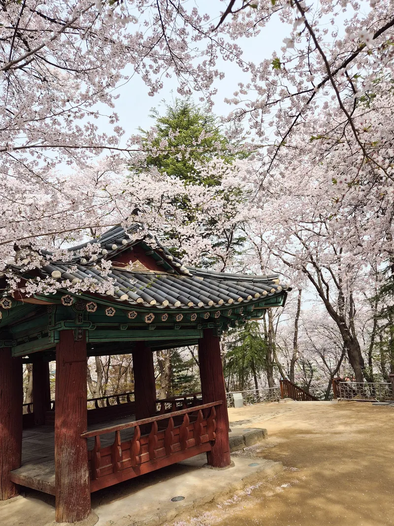 [Gangneung] Independent accommodation with good accessibility #Jungang Market #Ttukbokki (Netflix available) 58