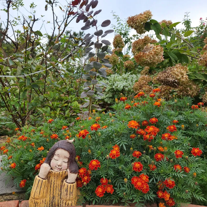 [Boryeong][Boryeong, South Chungcheong Province] A house with a beautiful garden 9