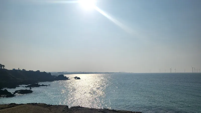 [제주 한림] 편안한쉼터 제주서쪽 힐링하기 좋은집 숲세권 협재해변차로5분 57