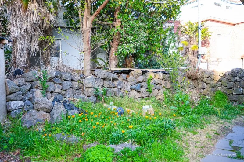 [제주 애월] 100년 제주돌집 #애월바다 도보 2분 #한담도보 10분 31