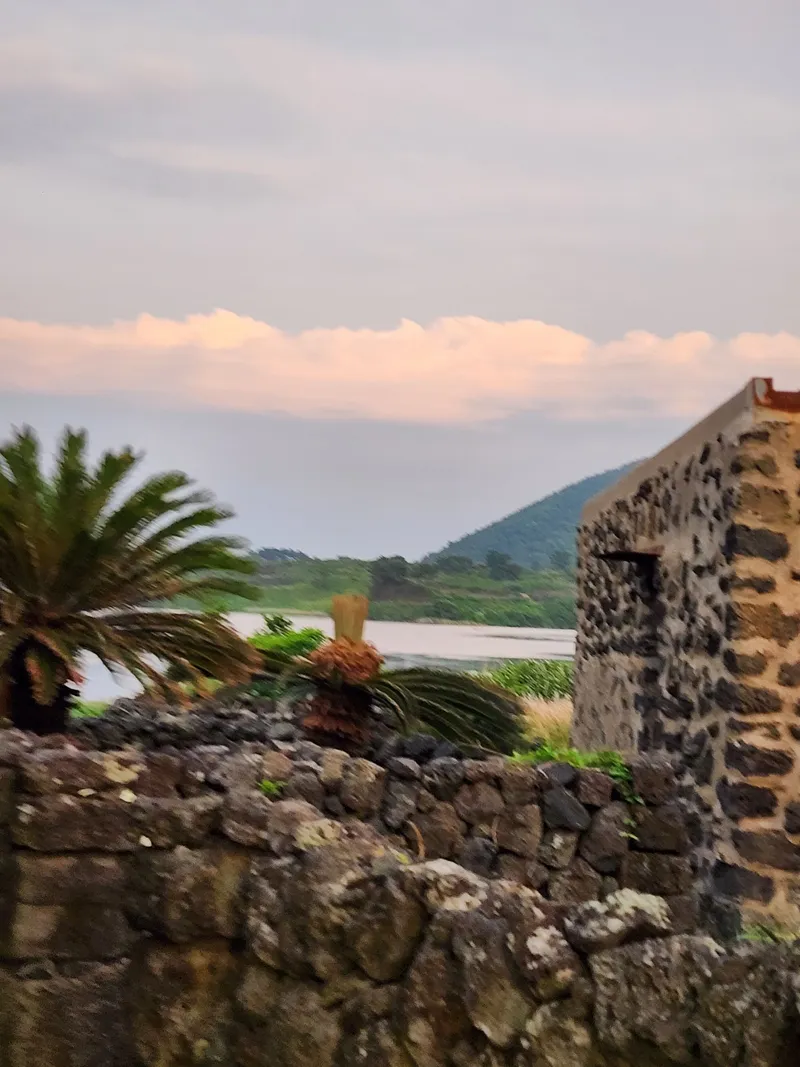 [Gujwa, Jeju] Jeju Rakhado / A House Loved by Artists 60