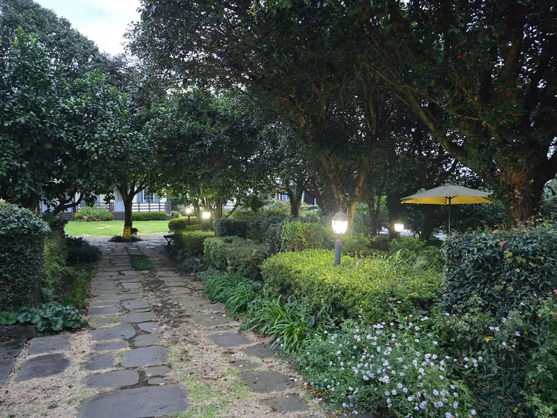 [Namwon, Seogwipo] #Wide lawn #Healing lark 38