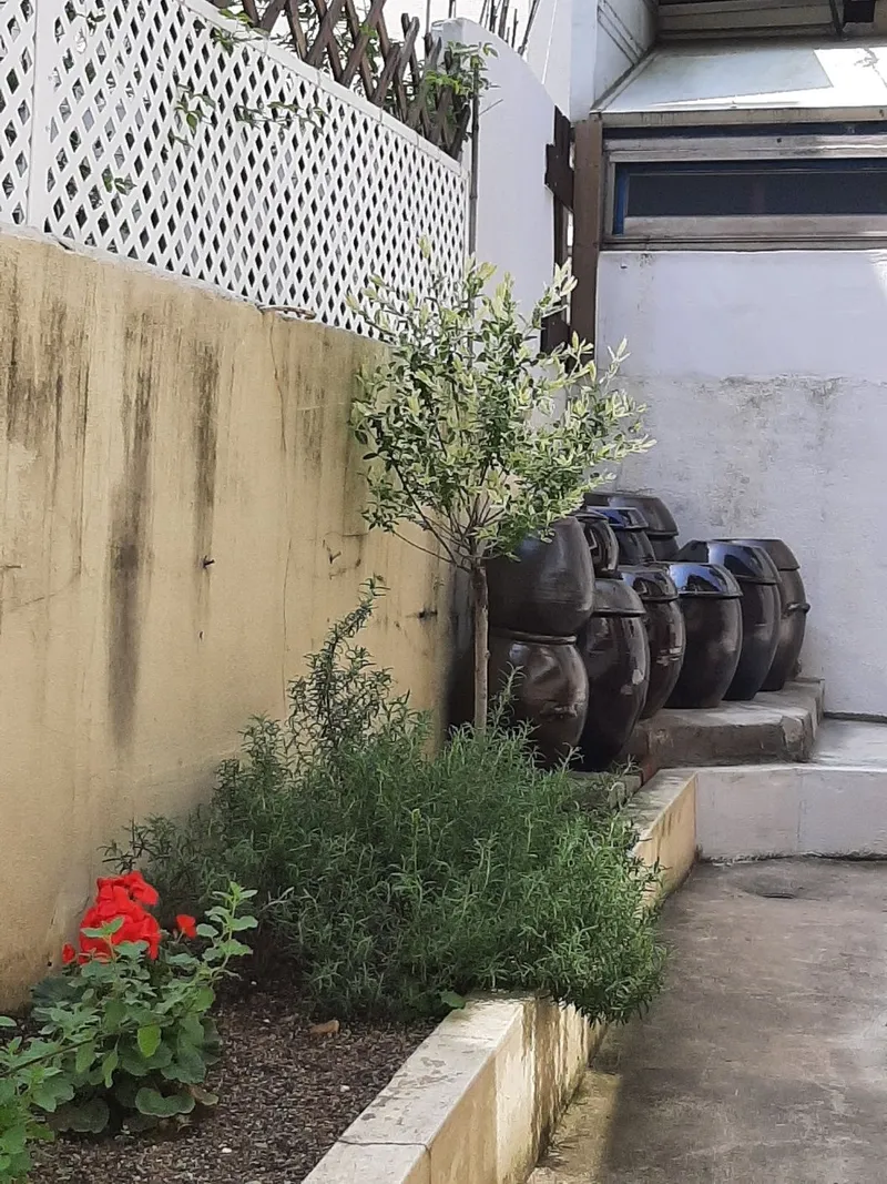 [Busanjin, Busan] 10-minute walk from Gaegeum Subway Station, 3-minute walk from Singaegeum Bus Stop 37