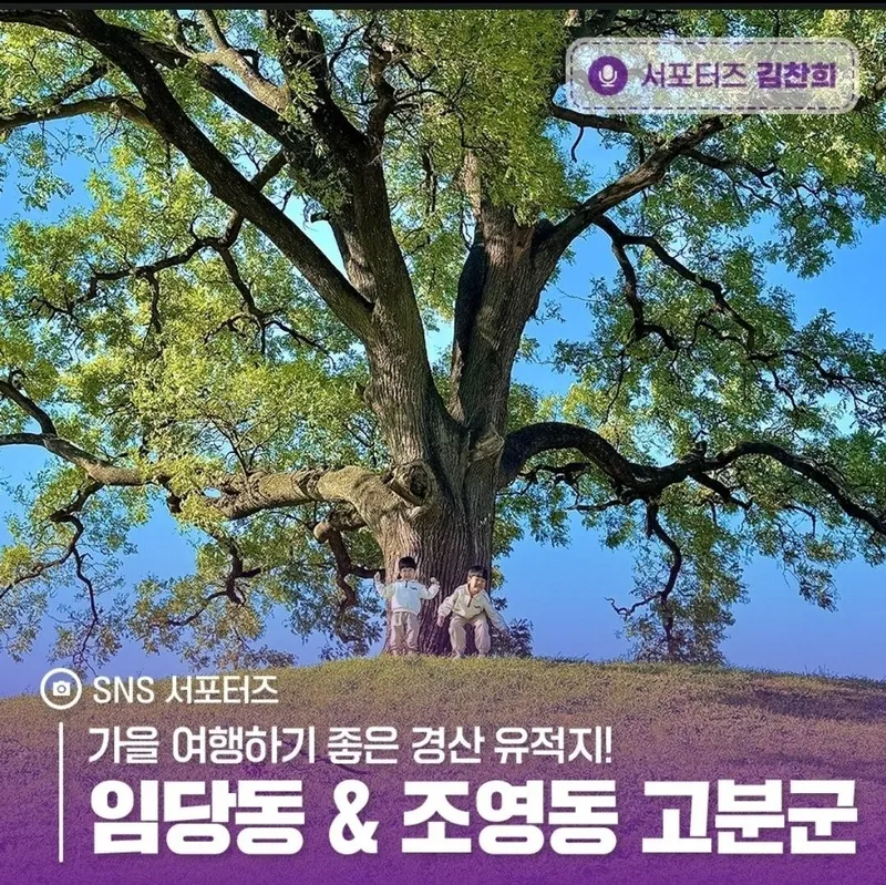 [Gyeongsan] 15 minutes from Yeongnam University Station, AEI 24