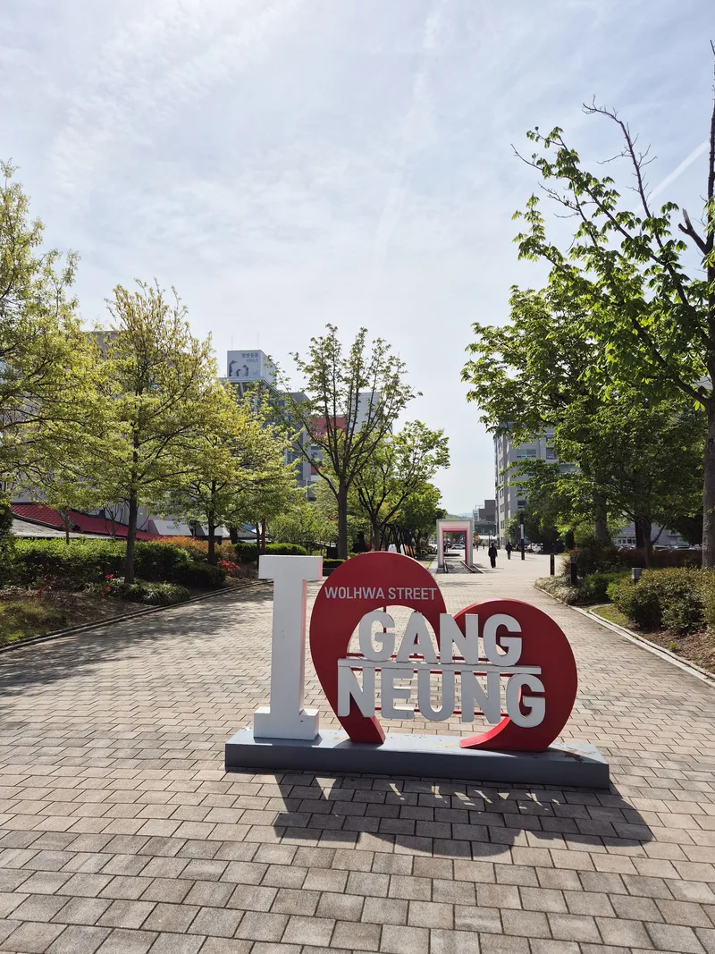 [Gangneung] Independent accommodation with good accessibility #Jungang Market #Ttukbokki (Netflix available) 42