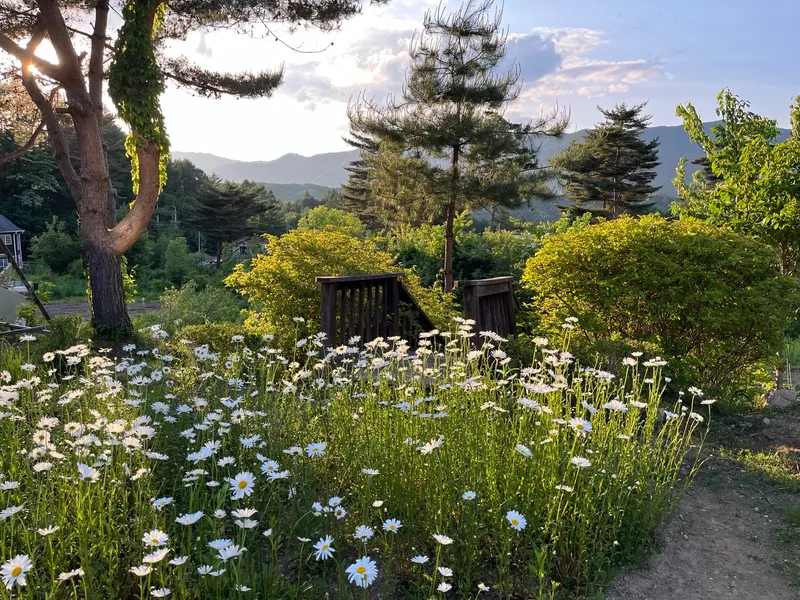 [Pyeongchang] Wildflower Friends_Bongpyeong Forest Complex One-Room #102 22