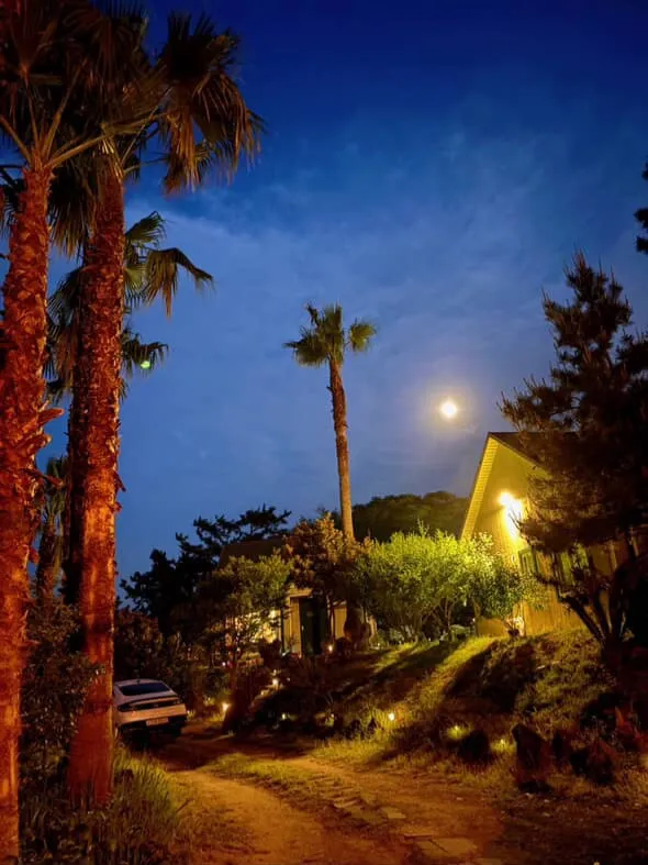 [Hallim, Jeju] 5-minute walk to Hyeopjae Beach, private house, dog-friendly, lawn yard, 52