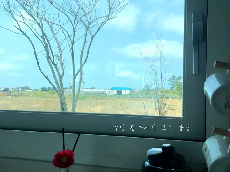 [Hangyeong, Jeju] A quiet rural village, leisurely, restful, and dog-friendly. 12