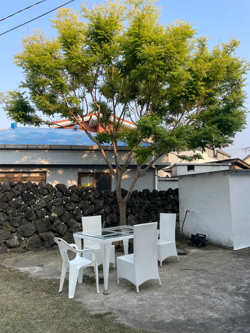 [제주 조천] 제주감성, 마당이 있는 독채 돌담집 닭머르해안길 근처 15