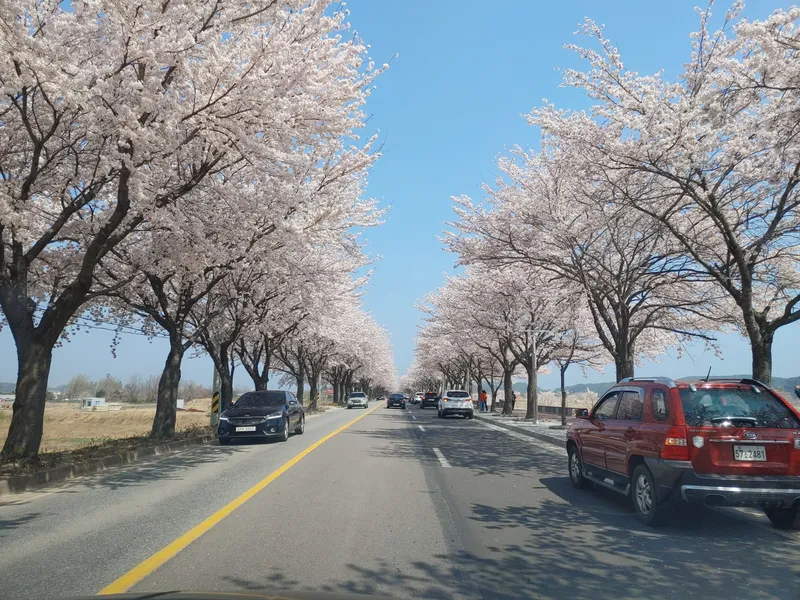 [Yangyang][Gangwon Sokcho Yangyang] Naksan Beach - & Namdaecheon Riverside Walk - Quiet Accommodation #Garden - & Balcony Barbecue 28