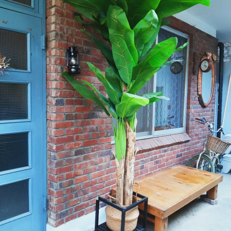 [Jeonju][Jeonju, Jeollabuk-do] 27