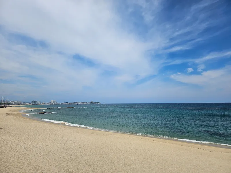[Gangneung] <September 20% Discount Special> Yeongjin Beach View Restaurant☆High-rise Ocean View☆Open Terrace 39