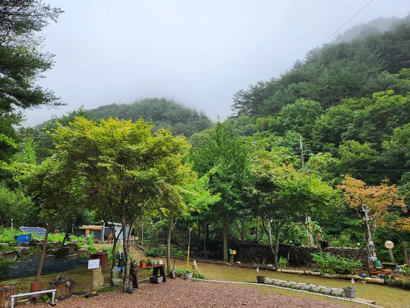 [강원 인제] 펜션,계곡,마당,숲,요양,온천 23