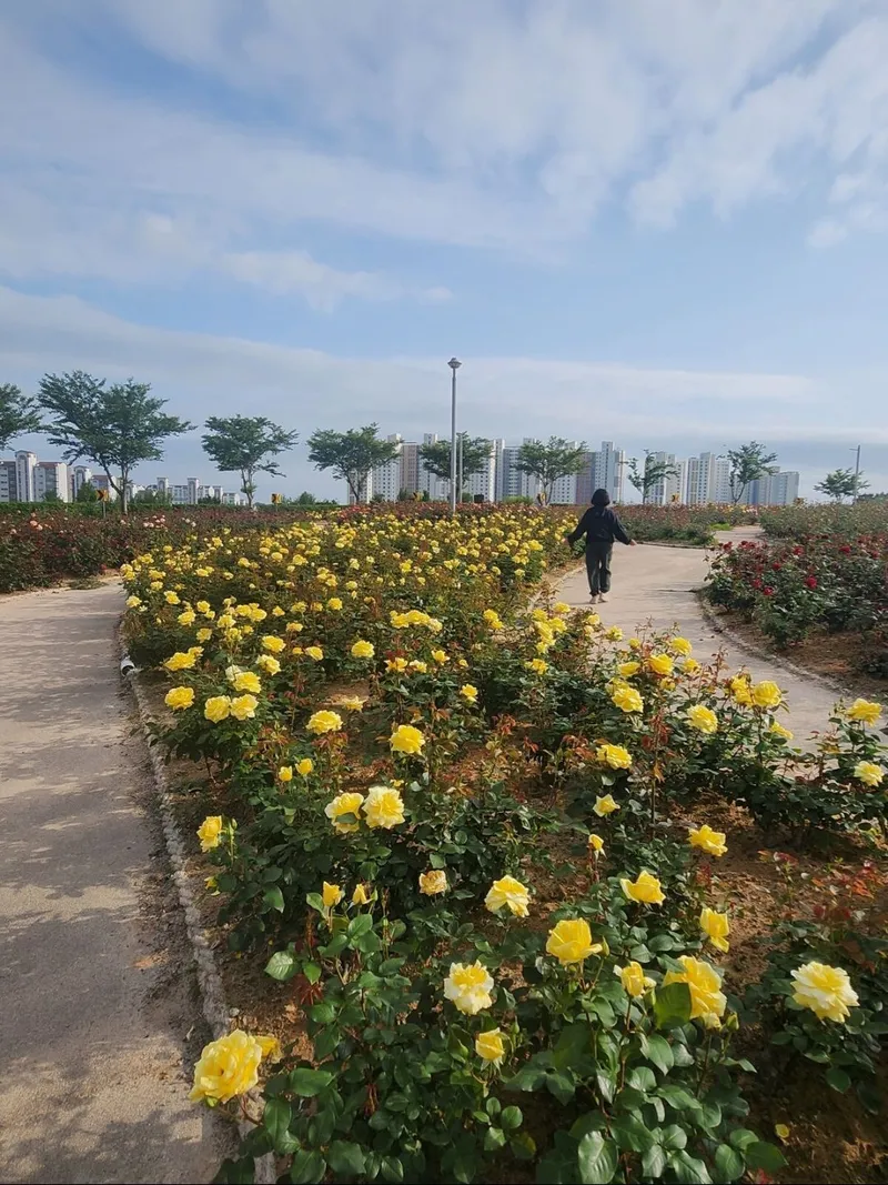 [Yeosu] Yeosu Beach Marina Yacht Club, waterfront swimming pool, romantic pojangmacha (traditional Korean food stall), and free parking are located in front of the accommodation. 25