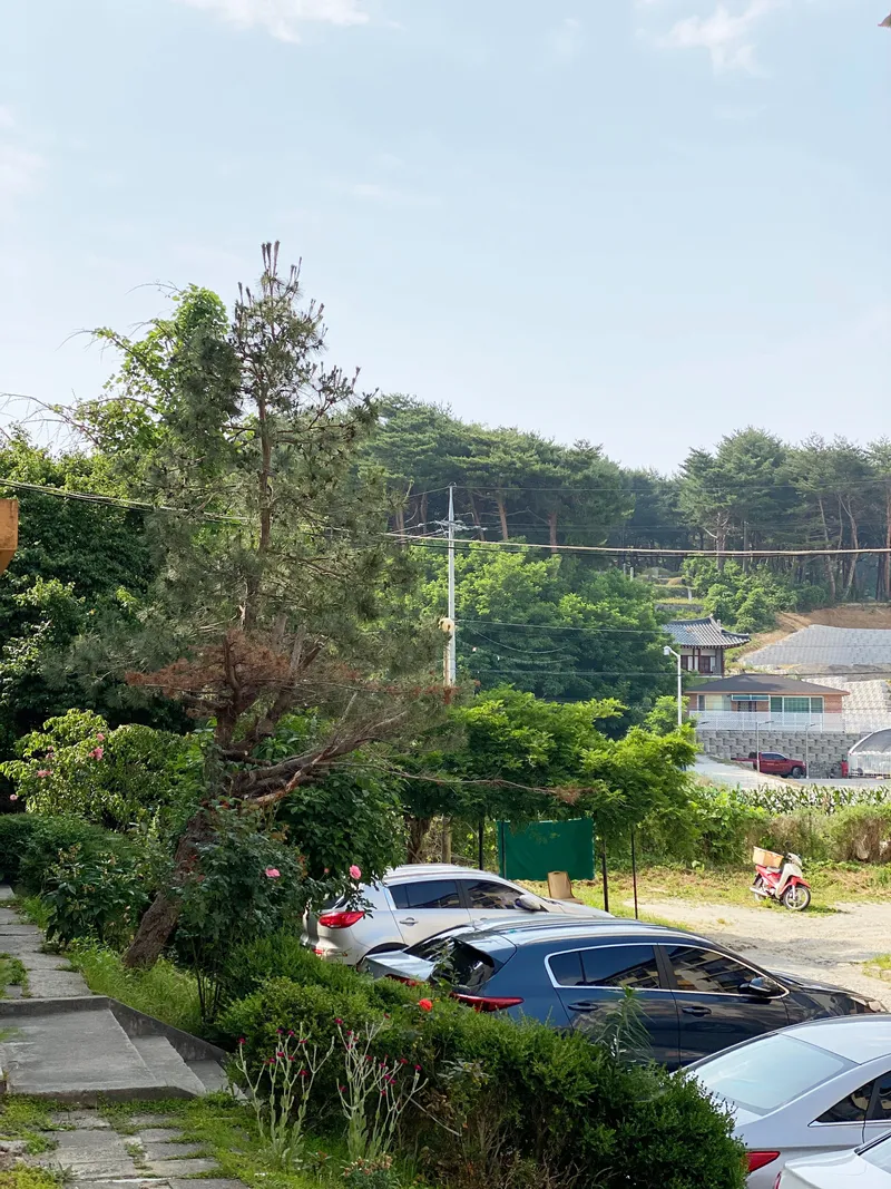 [Gangneung] Forest House 15